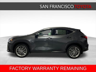 2025 Lexus NX 350h Luxury