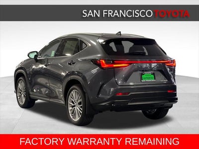 2025 Lexus NX 350h Luxury