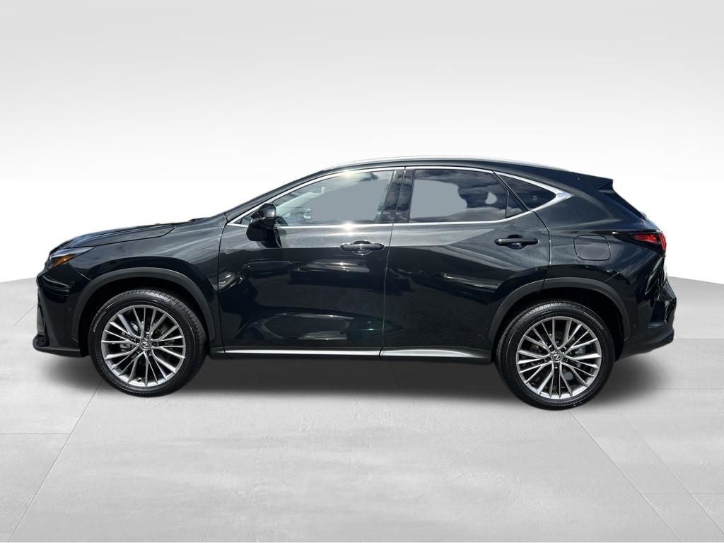 2025 Lexus NX 350h Luxury