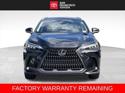 2025 Lexus NX 350h Luxury