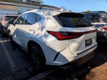 2025 Lexus NX 250 Premium