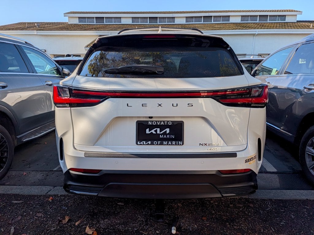 2025 Lexus NX 250 Premium