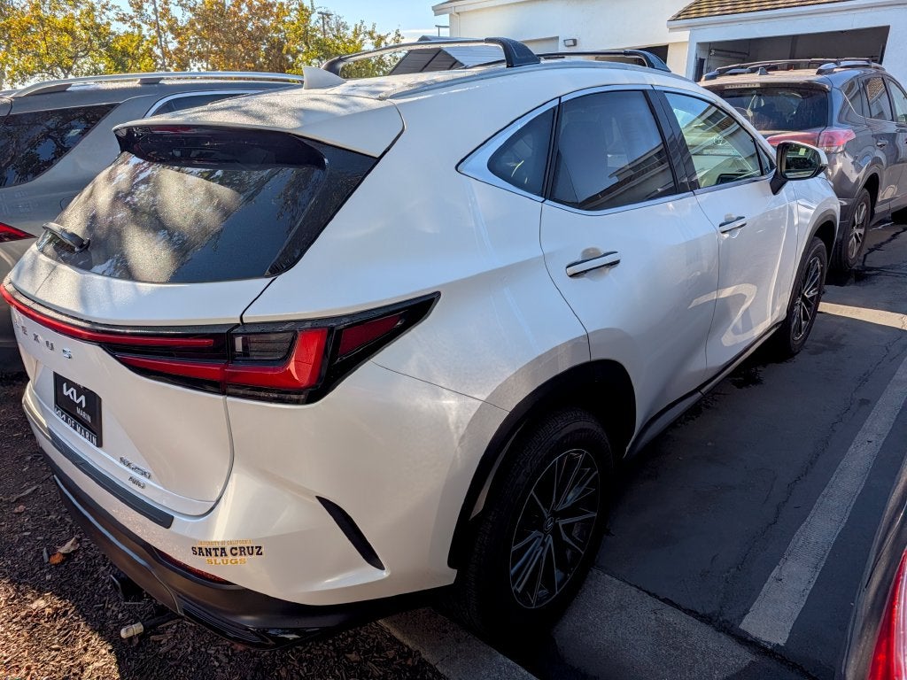 2025 Lexus NX 250 Premium