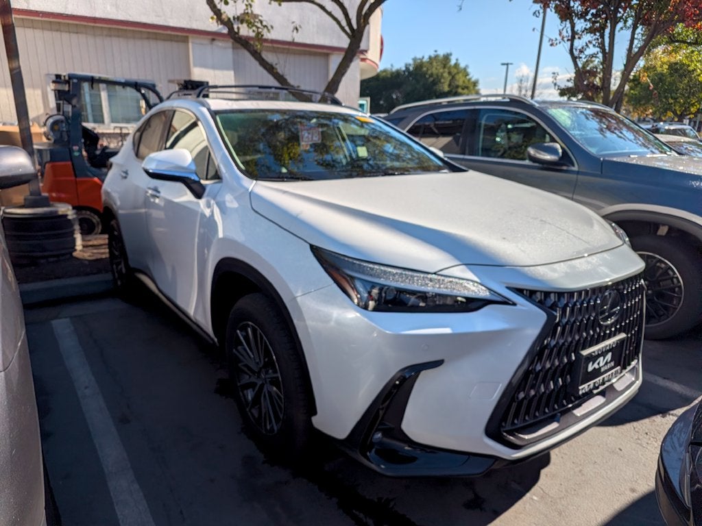 2025 Lexus NX 250 Premium