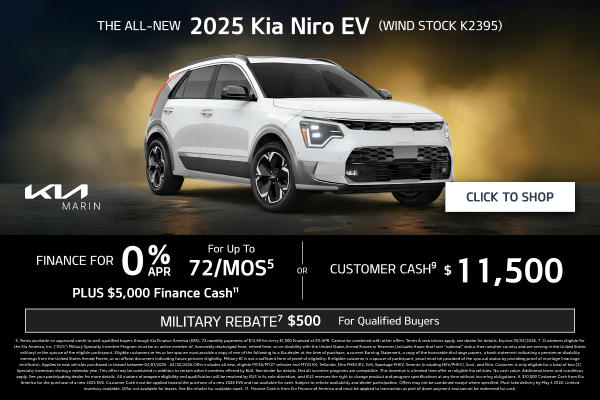 2025 Kia Niro EV